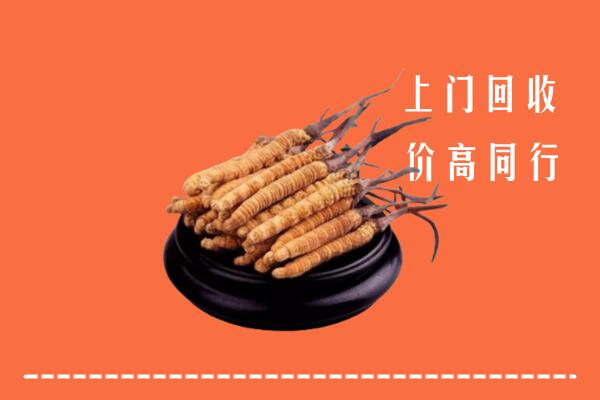 附近收购：永州市冬虫夏草回收多少钱每克