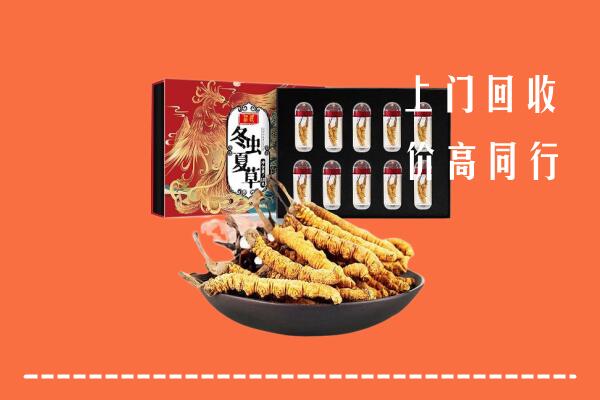 永州市回收虫草